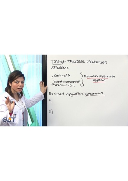 Smmm Staja Giriş Muhasebe Standartları fırsatları