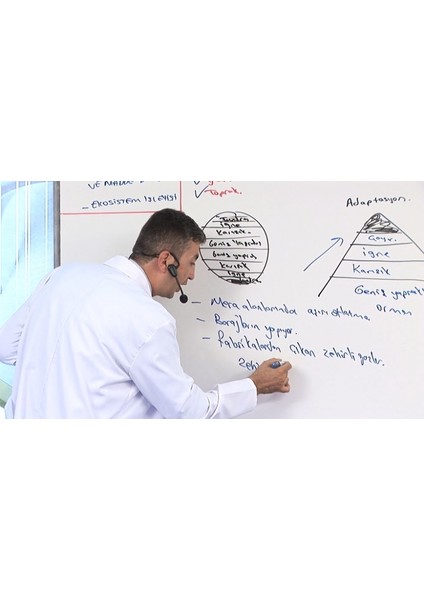 Elit AYT Eşit Ağırlık Görüntülü Eğitim Seti (320 GB Taşınabilir Disk İçerisinde) modelleri