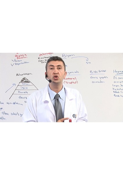 Elit AYT Eşit Ağırlık Görüntülü Eğitim Seti (320 GB Taşınabilir Disk İçerisinde) fırsatları