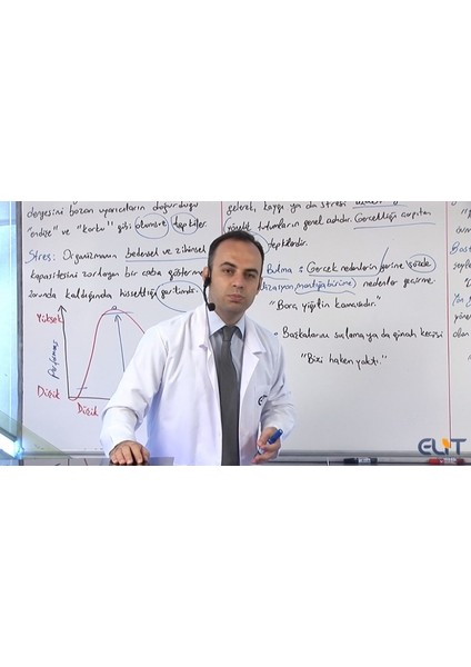 Yks Felsefe Grubu Görüntülü Eğitim Seti