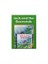 Jack And The Beanstalk 1