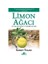 Limon Ağacı - Ciltli - Sandy Tolan 1