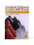 Graded Chinese Reader 500 Words +MP3 CD (Çince Okuma) 1