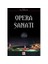 Opera Sanatı 1