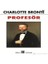 Profesör-Charlotte Brontë 1