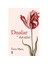 Dualar Ve Aminler 1