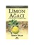 Limon Ağacı - Sandy Tolan 1