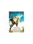The Forbidden Kingdom (Yasak Krallık) (DVD) 1
