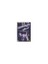 Galaxy Quest (Galaksi Savaşçıları) ( DVD ) 1