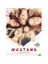 Mustang (DVD) 1