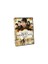 Maze Runner: The Scorch Trials (Labirent: Alev Deneyleri) (DVD) 1