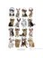 Keith Kimberlin Kittens Headphones Maxi Poster 1