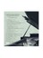Selva Erdener - Düşlerimin Toprağı ( CD ) 2