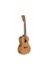 UP100 Concert Ukulele Seti 2