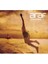Araf Volume 1 – All Music Around The World 1