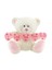 Neco Plush I Love You Thıs Much Kalpli Peluş Ayı 55 cm 1