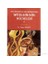 Batı Türklüğü Ve Halk İnanmalarının Mitolojik Kök Hücreleri -1--Yaşar Kalafat 1
