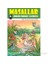 Masallar - Çirkin Ördek Yavrusu 1