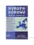 Avrupa Sorunu Avrupa Ne, Avrupalı Kim?-Peter Gowan 1