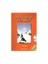 THE CALL OF THE WILD - LEVEL 4 (AUDIO CD'Lİ) 1