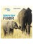 National Geographic Kids -Afrika'da Safari Filler - Şebnem Denktaş 1