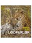 National Geographic Kids: Leoparlar (Afrika’Da Safari) - Şebnem Denktaş 1