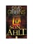 Son Ahit - David Gibbins 1