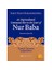 Nur Baba: An Unprecented Communal Rite İn The Court Of - Yakup Kadri Karaposmanoğlu 1