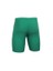 933.450 Short Lycra Erkek İçlikler Pro 2