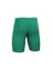933.450 Short Lycra Erkek İçlikler Pro 2