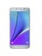 Galaxy Note 5 32 GB (İthalatçı Garantili) Gri 1