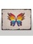 Ahşap Tablo Beyaz Zeminde Renkli Kelebek Baykuşu 1