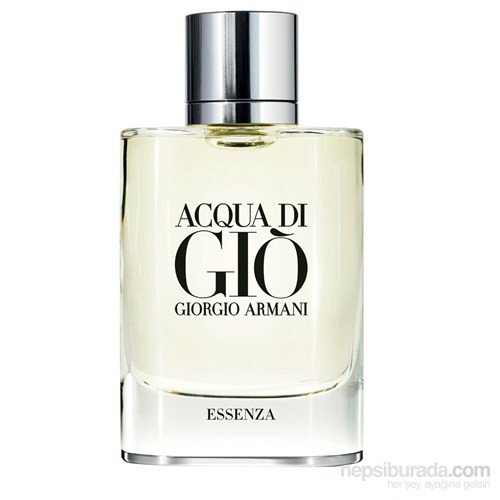 Parfum Giorgio Armani Acqua Di Gio Profumo Man Original 100ml Shopee Indonesia