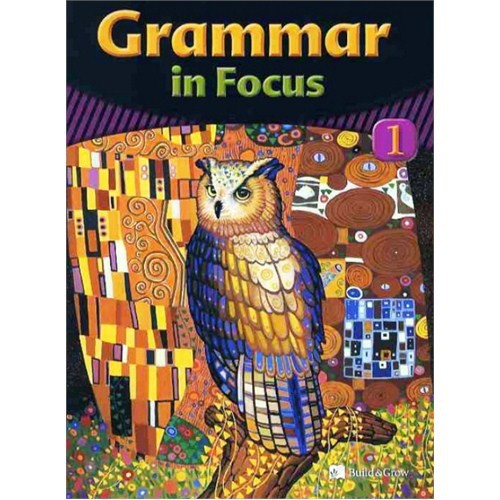 Focus on grammar 1. Grammar in Focus. Grammar Focus 1. Grammar in Focus book.