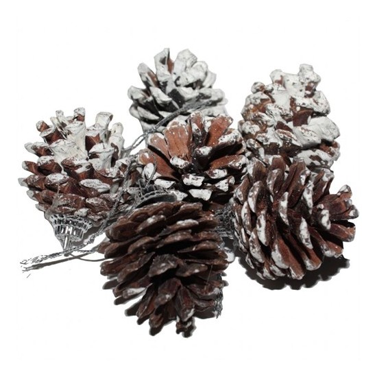 3lü yaprak desenli yılbaşı çam ağacı süsü kırmızı top 8cm-kazanabil.com 6 Lı Kar Efektli Kozalak Çam Ağacı Süsleri | Fiyat Arşivi