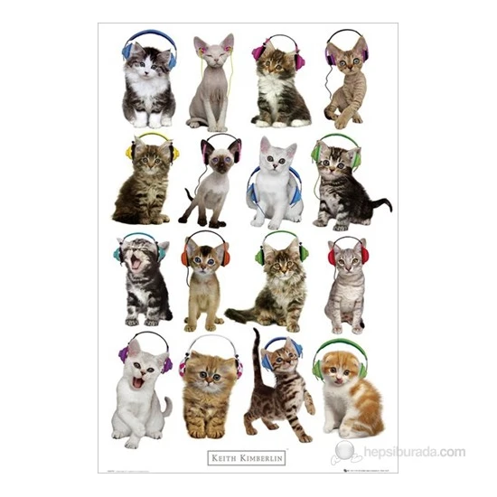 Keith Kimberlin Kittens Headphones Maxi Poster