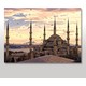 Seçili Renk Renkli