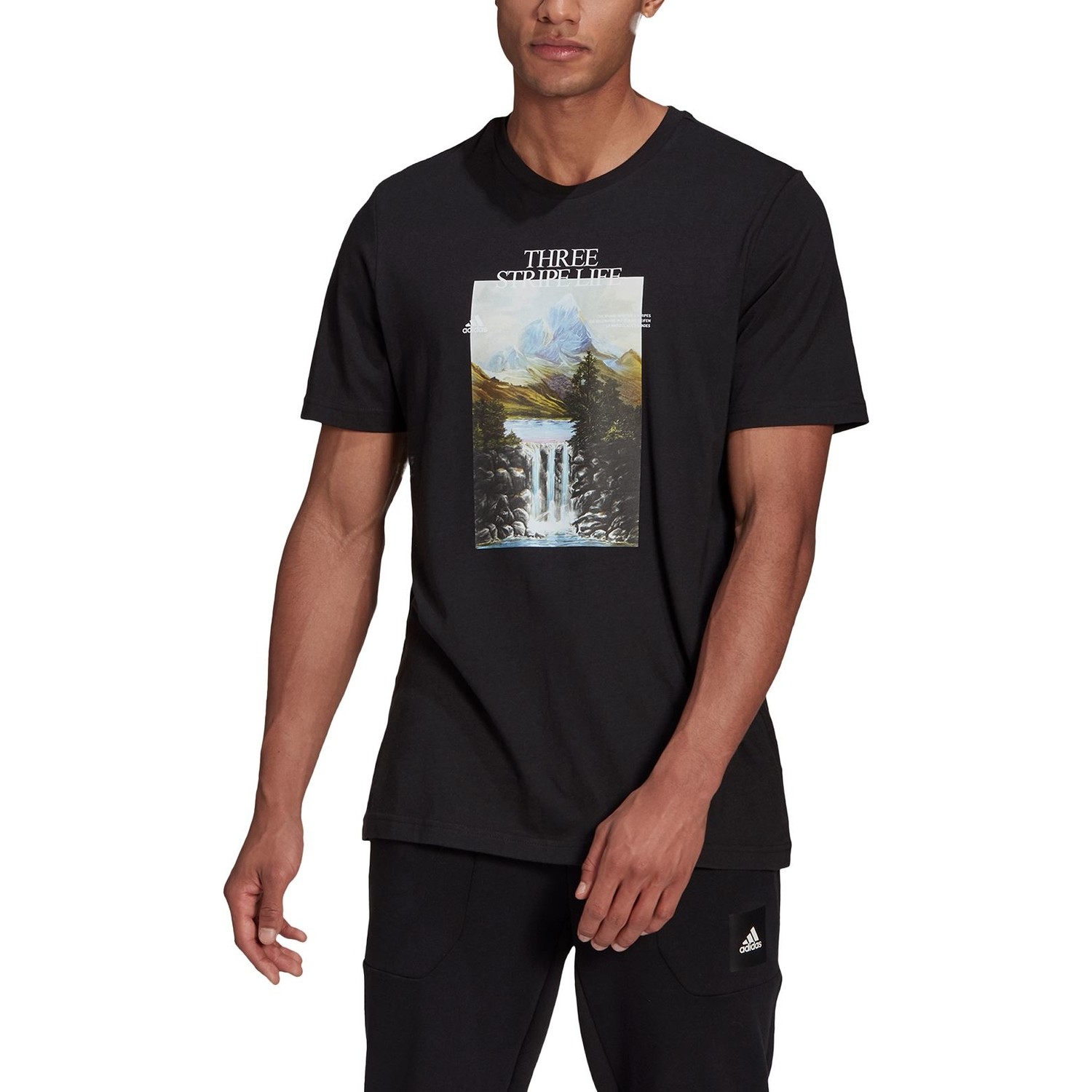 Adidas Mountain Tee M Erkek Antrenman Tişörtü GN6852 Siyah Fiyatı