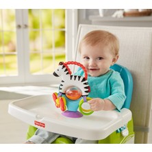 Fisher-Price Sevimli Zebra Mama Koltuğu Oyuncağı, Renkli, Çıngıraklı FGJ11