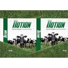 Akran Tarım Notıon Süt Otu Tohumu Italian Ryegrass 1 kg