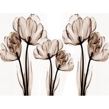 Eko Dekor 3D Çiçek Desen Tasarım Duvar Kağıdı Kanvas Tek Parca