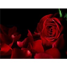 Eko Dekor Çiçek Desen 3D Özel Tasarım Duvar Kağıdı 0127 Vinil