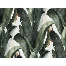 Eko Dekor Botanik Yapraklar 3D Duvar Kağıdı Vinil