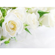 Eko Dekor Çiçek Desen 3D Özel Tasarım Duvar Kağıdı 0124 Kanvas Tek Parca