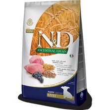 N&D Düşük Tahıllı Kuzu Etli ve Yaban Mersinli 2.5 kg Küçük Irk Yavru Köpek Maması-1 Adet
