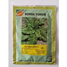 DÖRTBUDAK Bursa Matadoor Ispanak Tohumu 25 gr