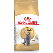 Royal Canin British Shorthair 4 kg Yetişkin Kuru Kedi Maması