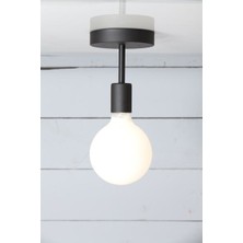 Riolight  Tekli Metal Tavan Armatürü