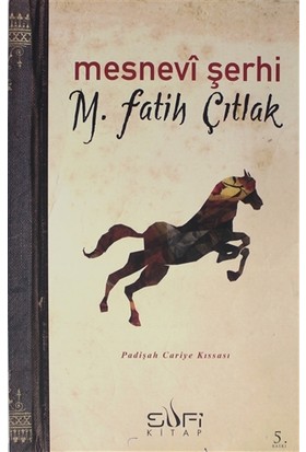 Mesnevi Şerhi-M. Fatih Çıtlak