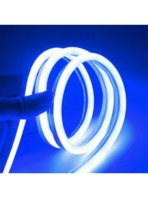 Neon Hortum Işık LED Şerit Aydınlatma 220 Volt Fiş Dahil Gün Işığı 2 M